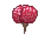 Brain2.PNG